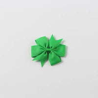 20 Piece Hair Accessory Assortment for Babies and Girls - Bows, clips and pins