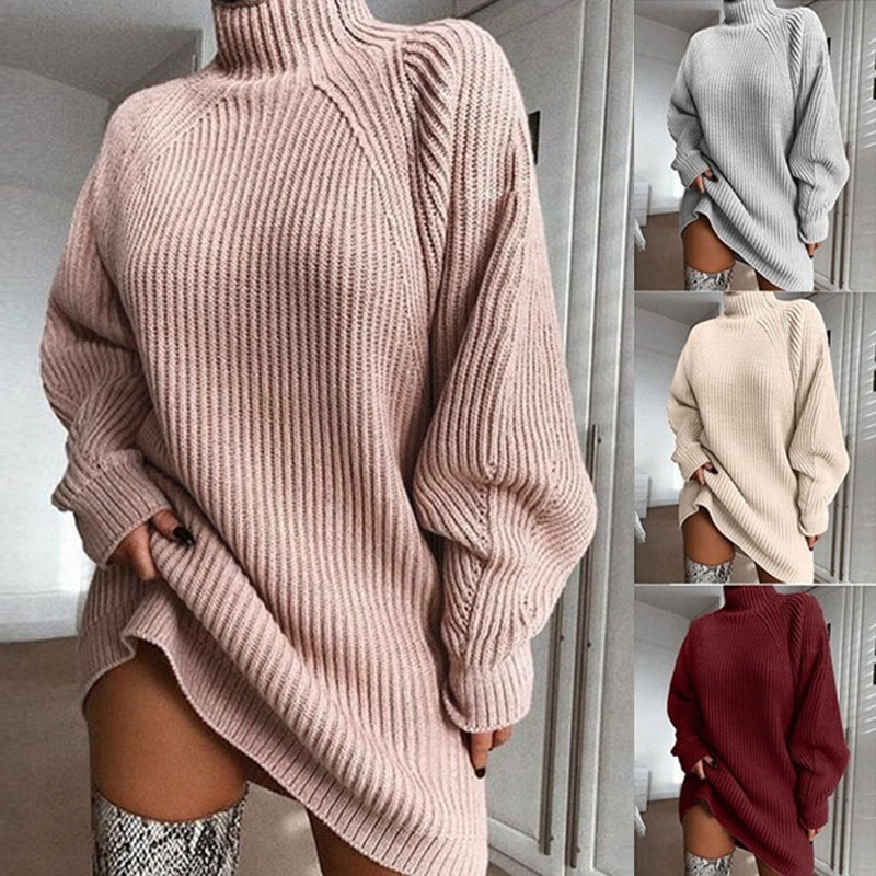 Women's Solid Turtleneck Long Sweater