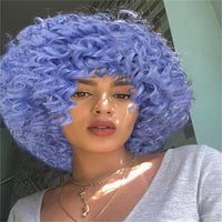 Multicolor Wigs for Women - Afro Jerry Curly Wigs in Mixed Gray, Black, Brown, Red Wine, etc.