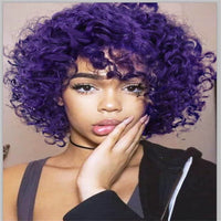 Multicolor Wigs for Women - Afro Jerry Curly Wigs in Mixed Gray, Black, Brown, Red Wine, etc.