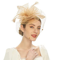 Feather Bride Hair Ornament - Mesh Hat Combination Hairpin