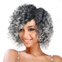 Multicolor Wigs for Women - Afro Jerry Curly Wigs in Mixed Gray, Black, Brown, Red Wine, etc.
