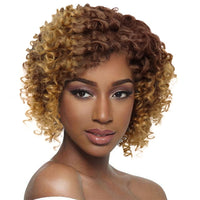 Multicolor Wigs for Women - Afro Jerry Curly Wigs in Mixed Gray, Black, Brown, Red Wine, etc.