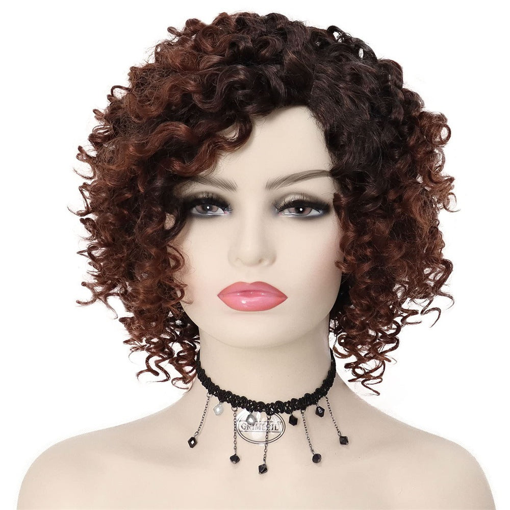 Multicolor Wigs for Women - Afro Jerry Curly Wigs in Mixed Gray, Black, Brown, Red Wine, etc.