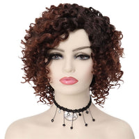 Multicolor Wigs for Women - Afro Jerry Curly Wigs in Mixed Gray, Black, Brown, Red Wine, etc.