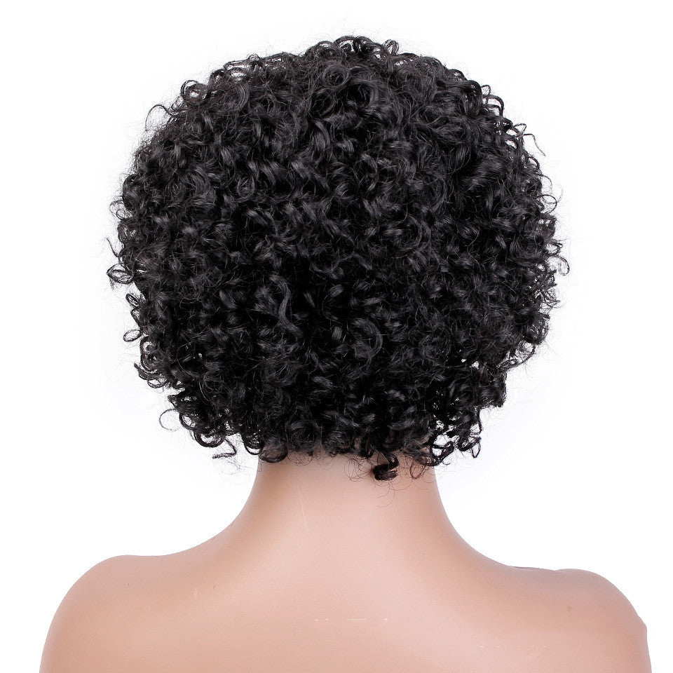 Fashion Wig Hair Set - Short Curly Hair - Real Human Hair Headwear for Women