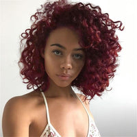 Multicolor Wigs for Women - Afro Jerry Curly Wigs in Mixed Gray, Black, Brown, Red Wine, etc.