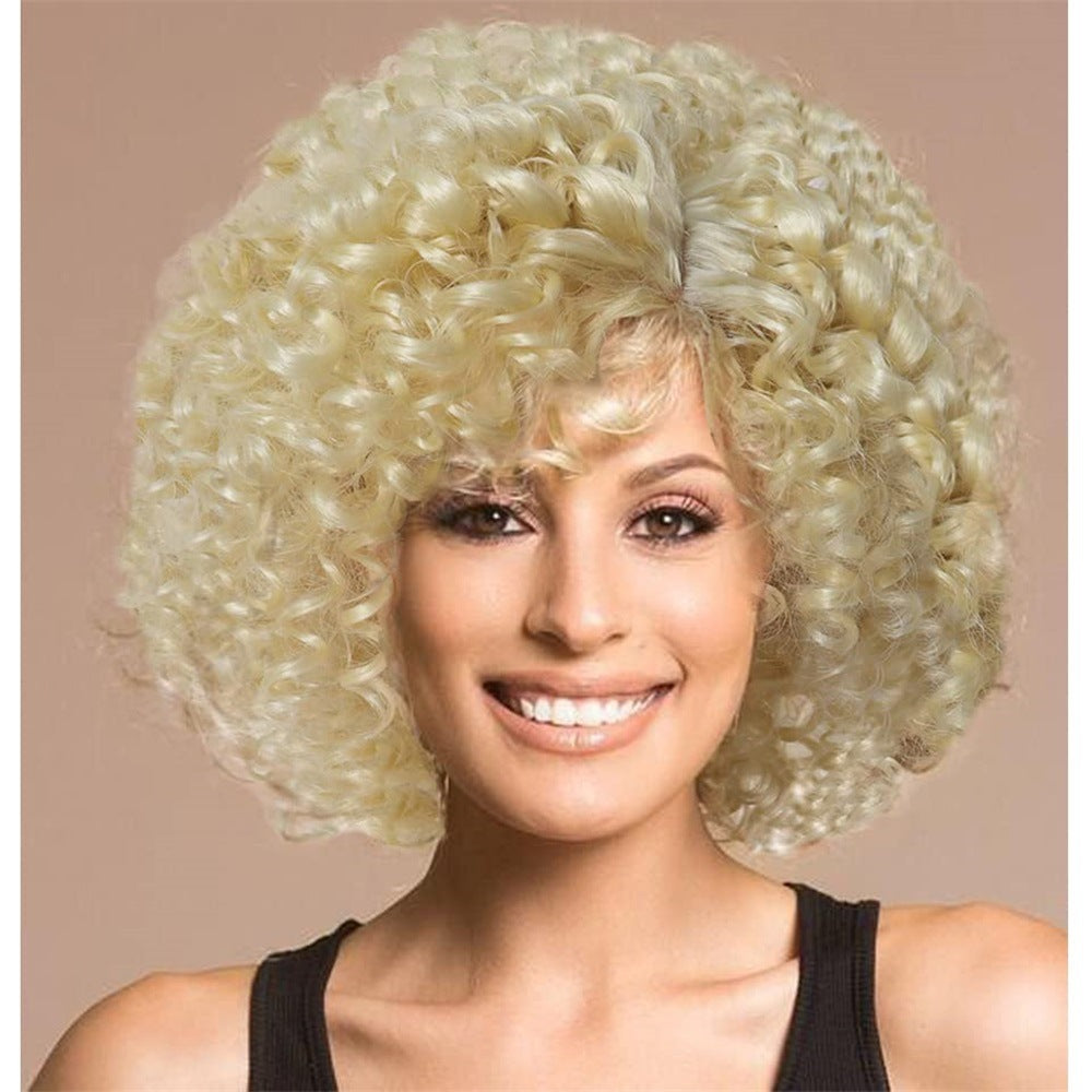 Multicolor Wigs for Women - Afro Jerry Curly Wigs in Mixed Gray, Black, Brown, Red Wine, etc.