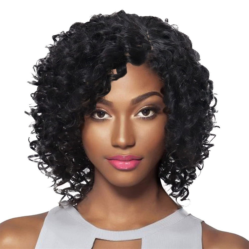 Multicolor Wigs for Women - Afro Jerry Curly Wigs in Mixed Gray, Black, Brown, Red Wine, etc.