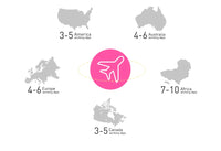 Highlight Brown Silk Base Wig Human Hair Glueless Human Hair Wigs With Brown Roots 200 Density Lace Front Wigs Short Bob Wigs Sweet T 52