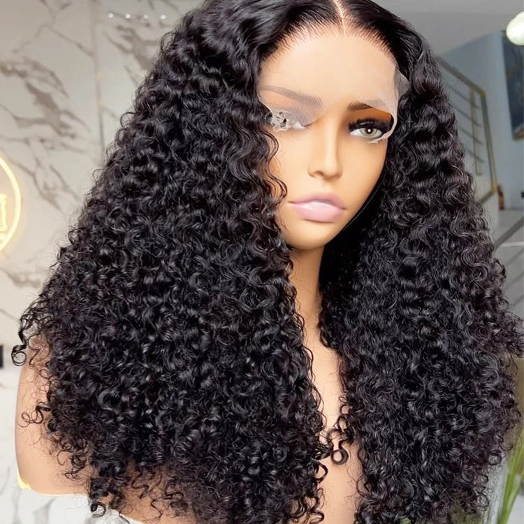 Drop Shipping Vendor Human Hair HD 13x4 Transparent Lace Front Wigs Virgin Vietnamese Human Hair Raw Burmese Curly Hair Wigs Sweet T 52