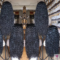 Human Hair HD 13x4 Transparent Lace Front Wigs - Virgin Vietnamese Human Hair, Raw Burmese Curly Hair Wigs Sweet T 52