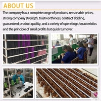 Linwan Synthetic 24Inchs 16 Clips in Hair Extensions Long Wavy Hairstyle Blonde Black Hairpieces Heat Resistant False Hair Sweet T 52