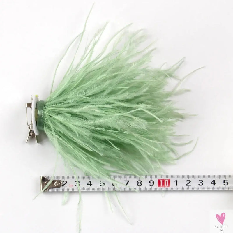 Ostrich Feather Brooch for Clothes or Hair wear - Black/Red Plumes Brooch for Wedding Party, DIY Jewelry or Shoe Decor Sweet T 52