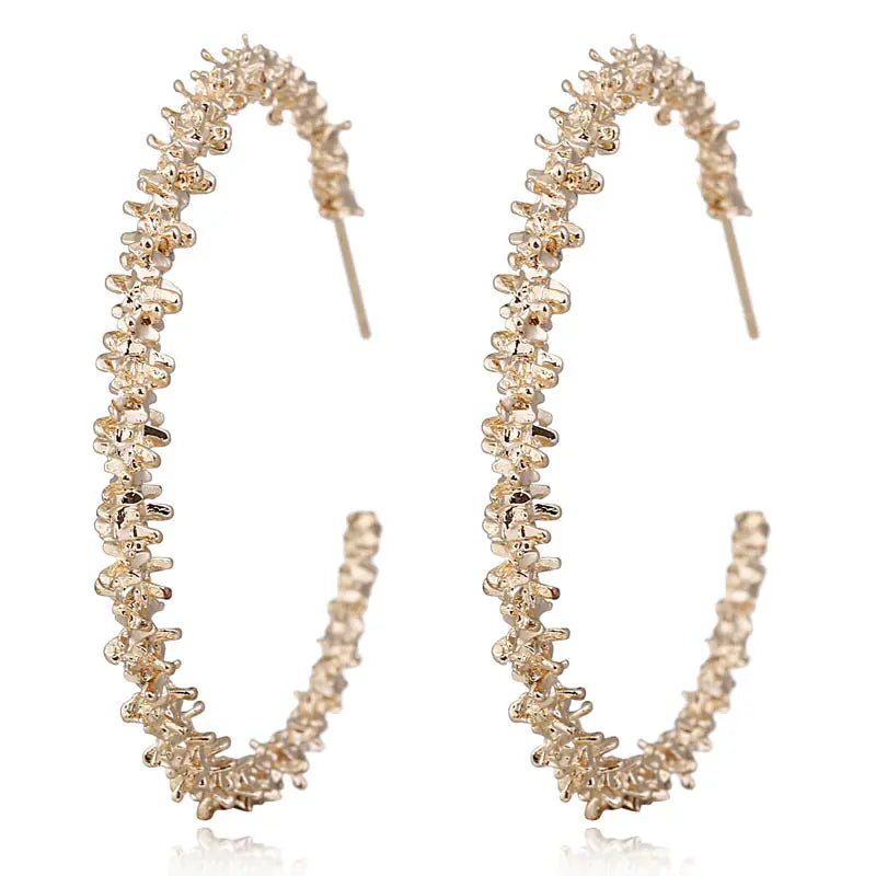 Trendy C-Shaped Half-Round Earrings for Ear Decoration