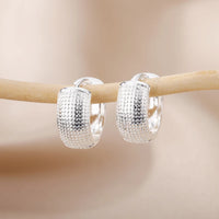 Small Hoop Earrings, Stainless Steel