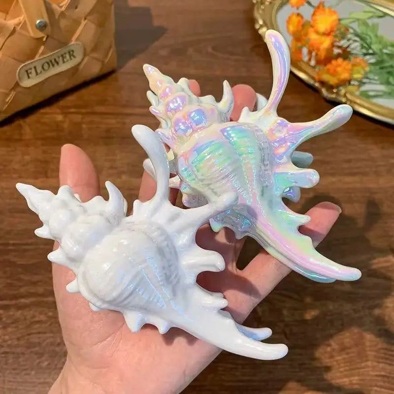 Acrylic Sea Shell Claw Clip