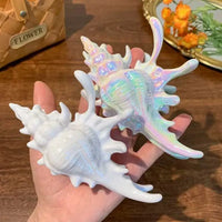 Acrylic Sea Shell Claw Clip