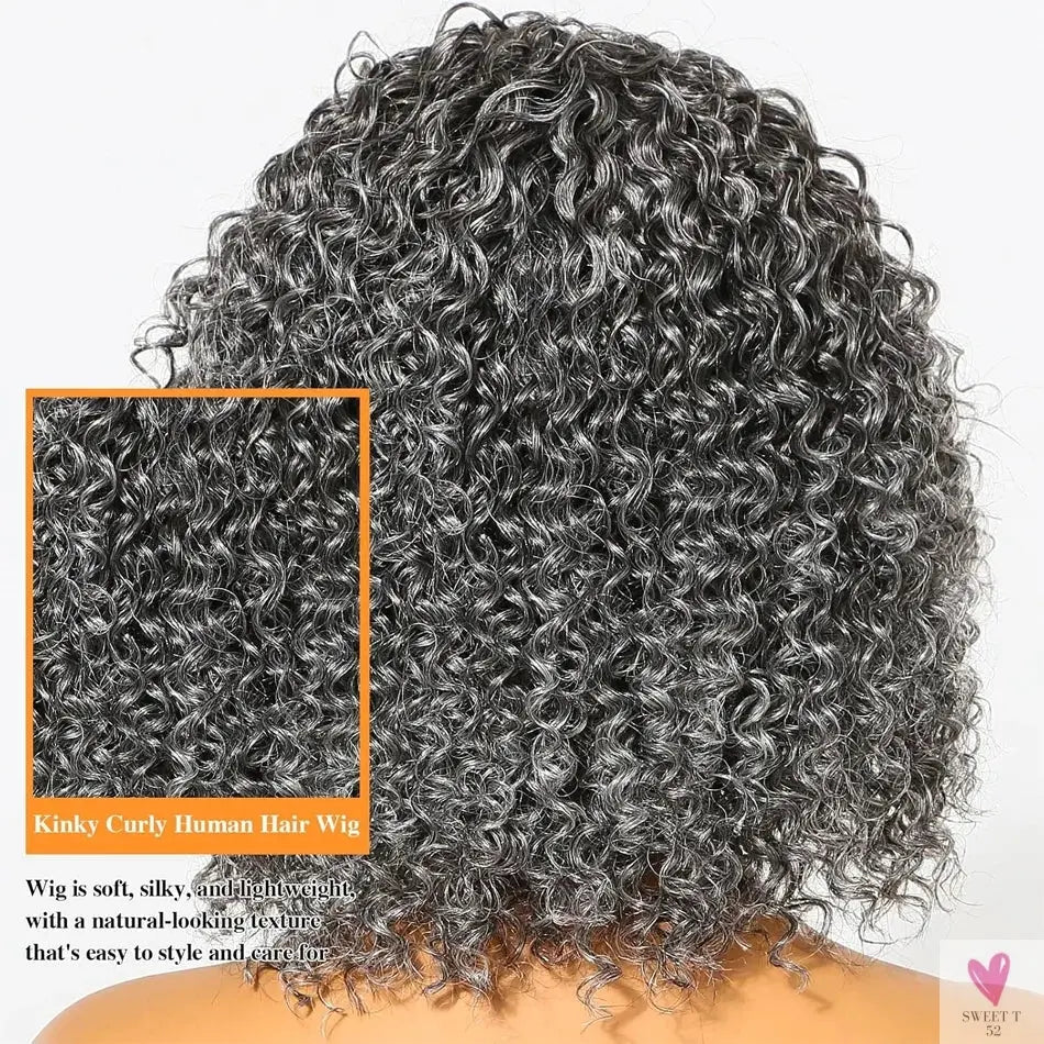 Salt & Pepper Wigs - Human Hair HD Grey Lace Front Human Hair Pre-Plucked Hairline, Deep Curly Bob Wigs Sweet T 52