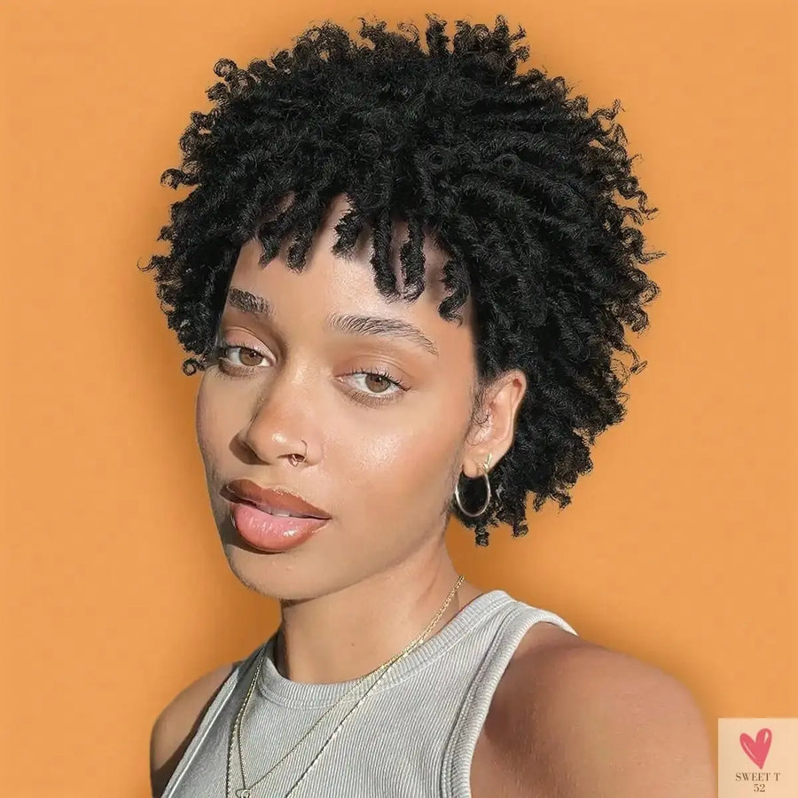 Short synthetic Wig for Women and Men, Afro Faux Dreads Wig, Heat Resistant Short Braided Wigs for Women Sweet T 52